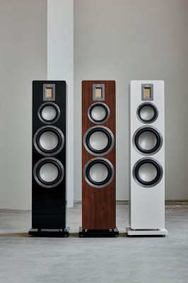 audiovector -1